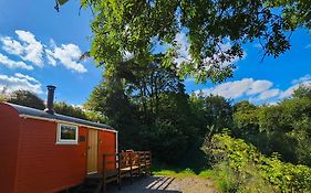 Red Kite At Wild Valley Huts
